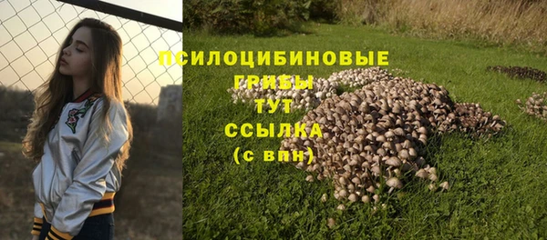 твердый Коряжма