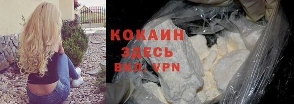 твердый Коряжма