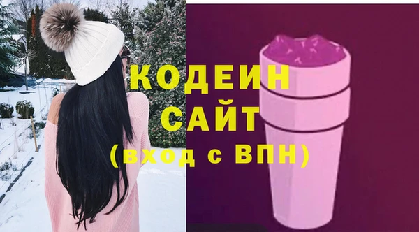 дурь Краснослободск